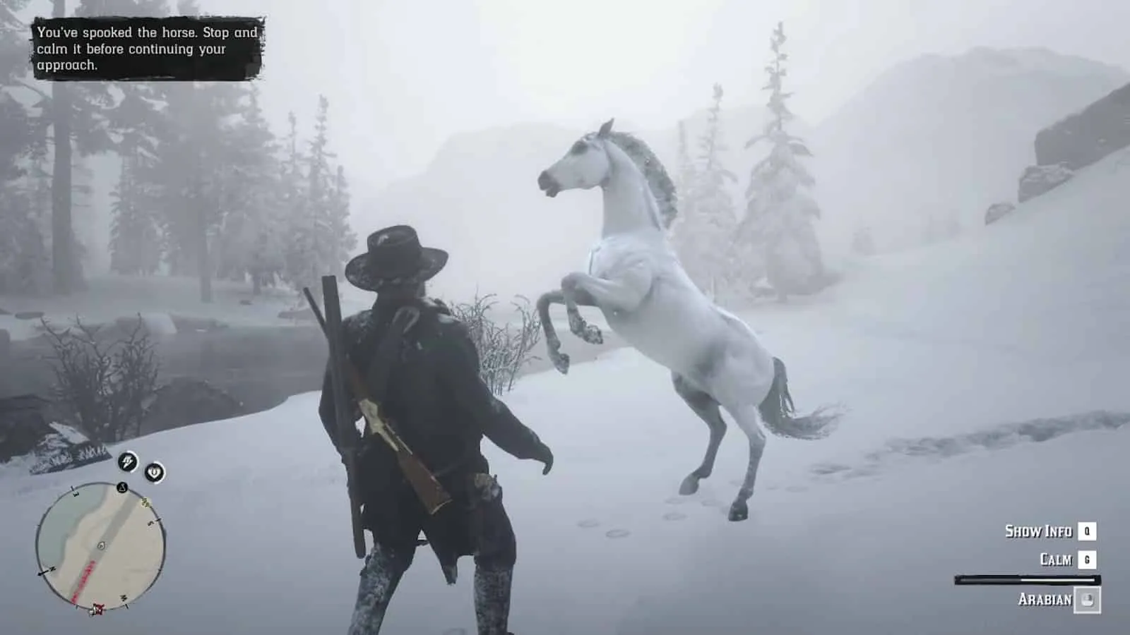 Cavallo arabo bianco Red Dead Redemption 2