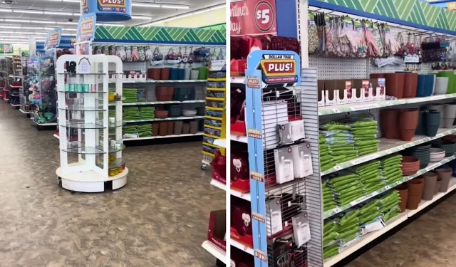 Cliente de Dollar Tree sorprendido por una elegante tienda en un vecindario rico