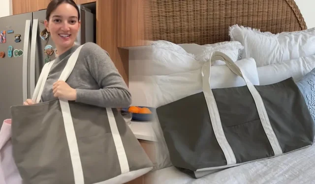 Internet indignato dopo che la “brutta” borsa da 120 dollari dell’influencer è andata esaurita