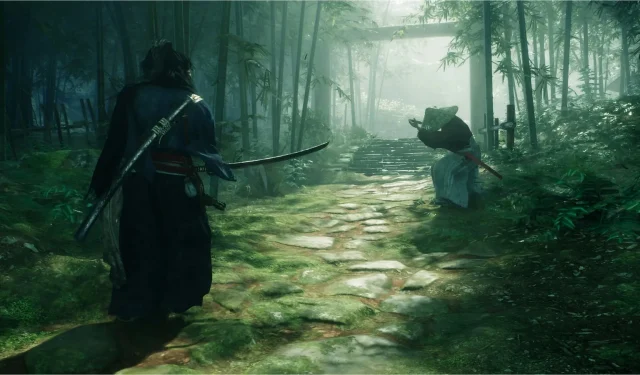 Rise of the Ronin é um jogo parecido com o Souls?