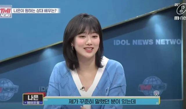 Le retour au métier d’acteur de Lee Na-eun est fortement critiqué par les internautes 