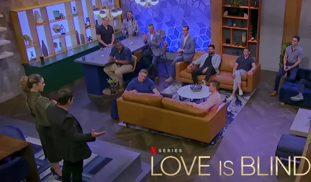 Wie viele Staffeln und Spin-offs von Love is Blind gibt es?