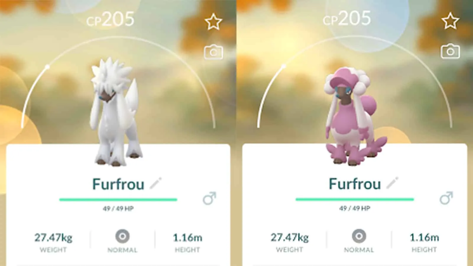 Cambiamenti nella forma di Pokemon Go Furfrou