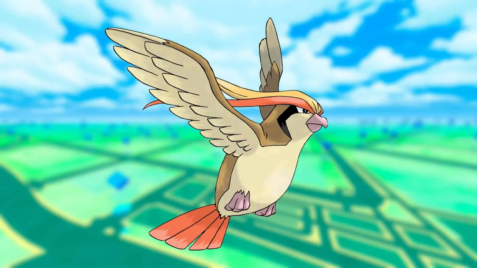 Pidgeot w lidze Pokemon Go Ultra