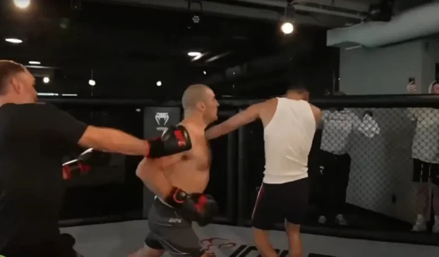 Sneako 在血腥的拳擊比賽中被 UFC 冠軍肖恩·斯特里克蘭猛烈抨擊