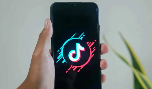 Quanti sono gli utenti TikTok?