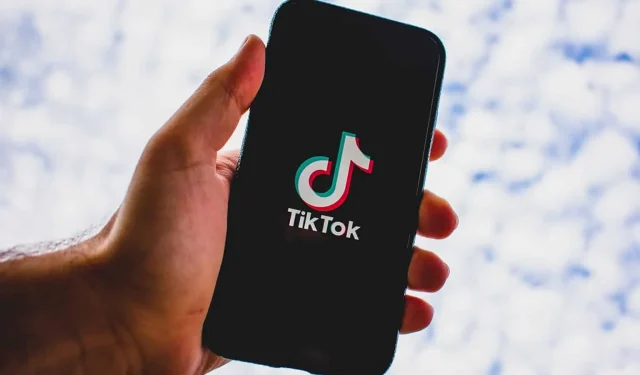 Cosa significa EVB su TikTok?