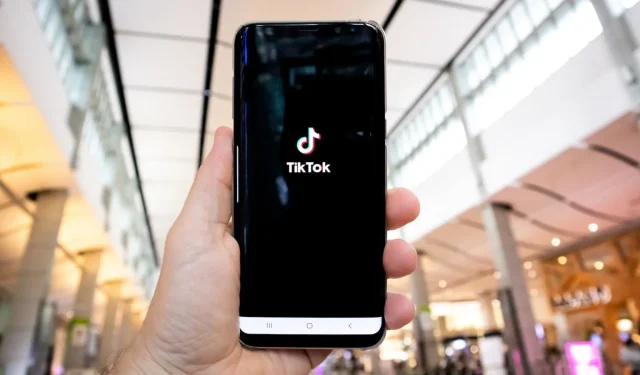 Was ist das virale Wavelength-Spiel auf TikTok und wie spielt man es?