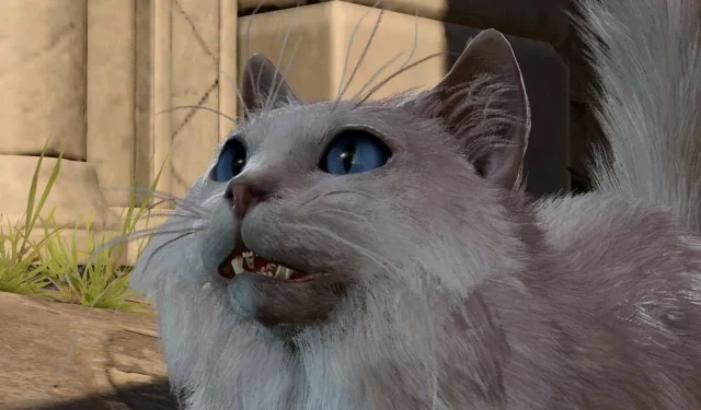 Los jugadores de Baldur’s Gate 3 quedaron encantados con los gatos que reaccionan a los animales del juego