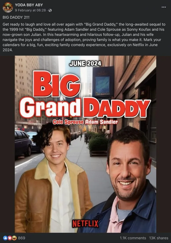 Das gefälschte Poster zu Big Grand Daddy auf Netflix