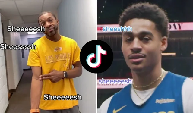 Que signifie « sheesh » sur TikTok ?