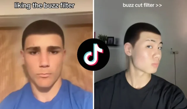 Jak uzyskać filtr wycinania szumów na TikTok