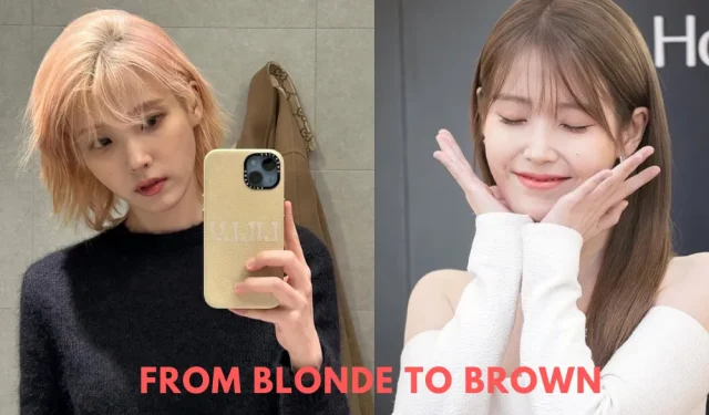 IU sfonda di nuovo Internet con l’incredibile Hair Switch: “Stai ottenendo…”