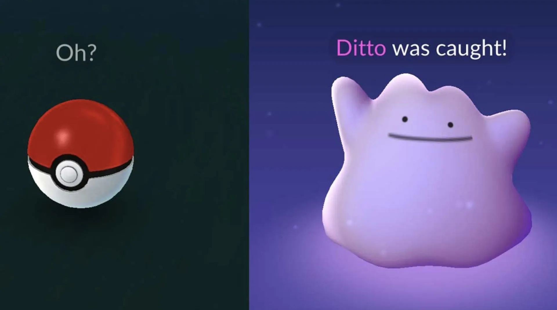 Zrzut ekranu przedstawiający łapanie transformacji Pokemon Ditto w Pokemon Go.