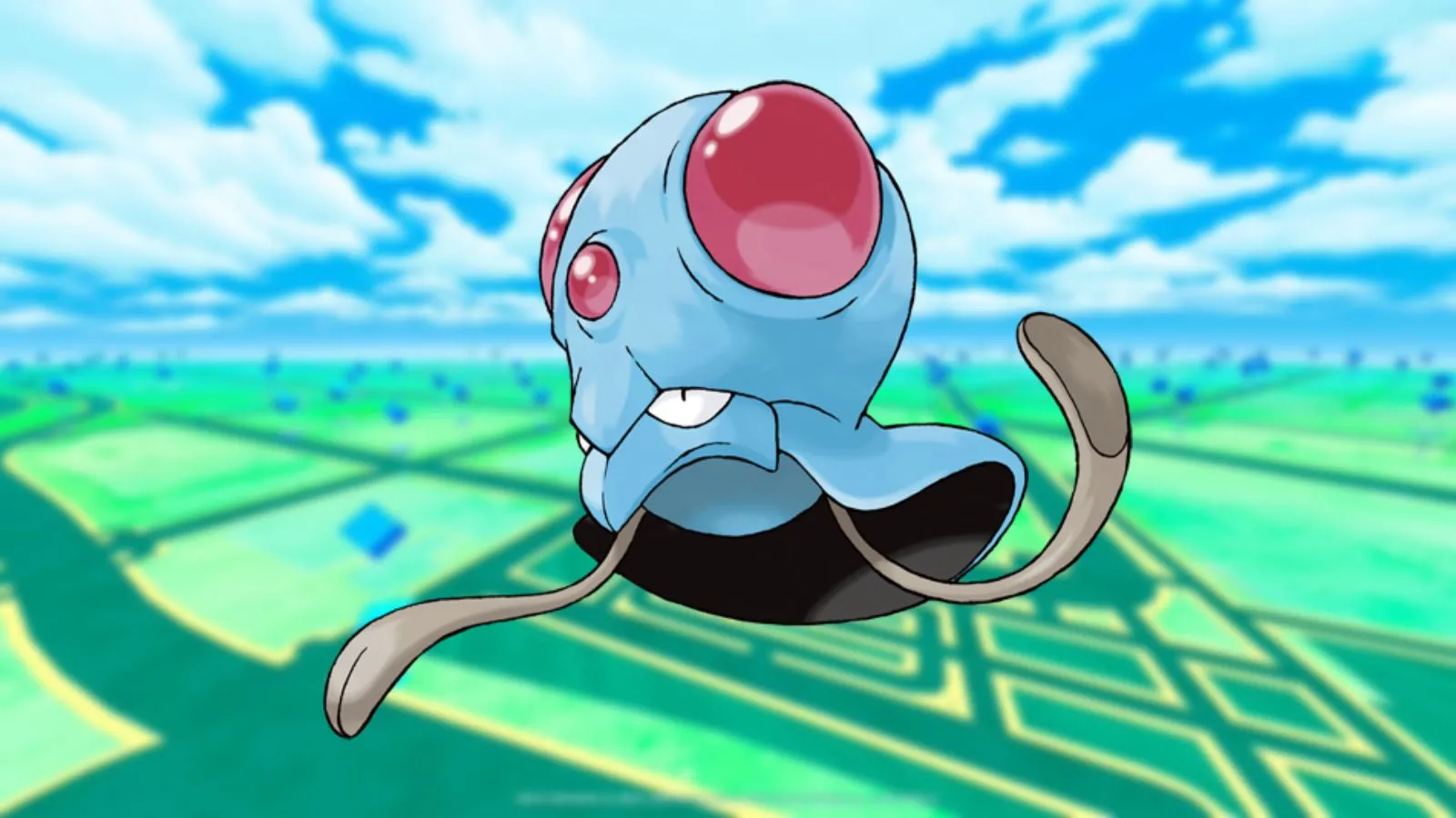 pokemon idź tentacool