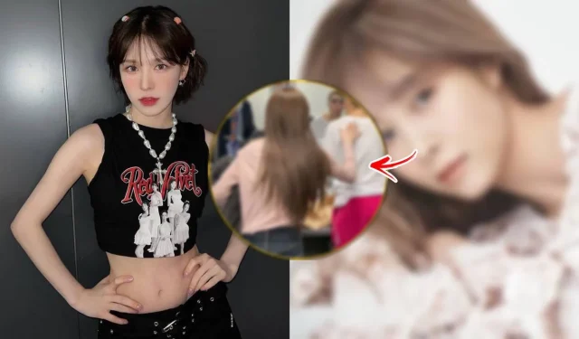 這位流行歌手談到 Red Velvet Wendy 驚人的體重減輕：“請好好餵她……”