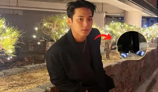 DEZESSETE A escolha chocante de calçados de Mingyu acende um debate viral sobre moda