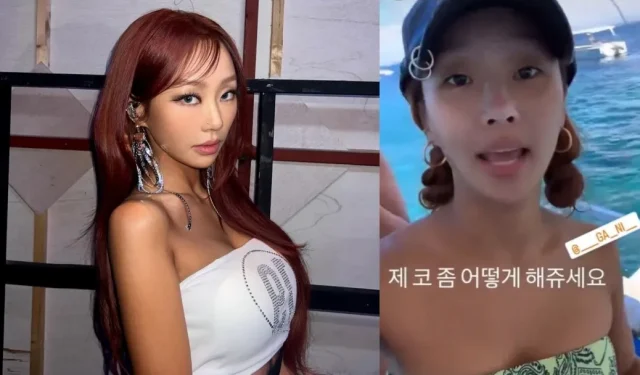 SISTAR19 Hyolyn fait face à des réactions négatives pour avoir prononcé le « N-Word » sur une publication Instagram : « Elle est embarrassante »