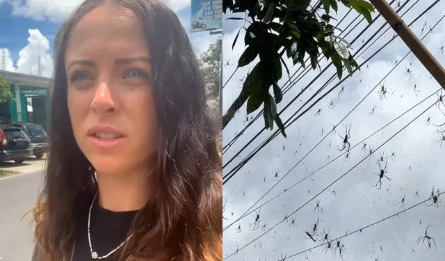 Bali “cancelada” como lugar de vacaciones tras la invasión viral de una araña por parte de una mujer