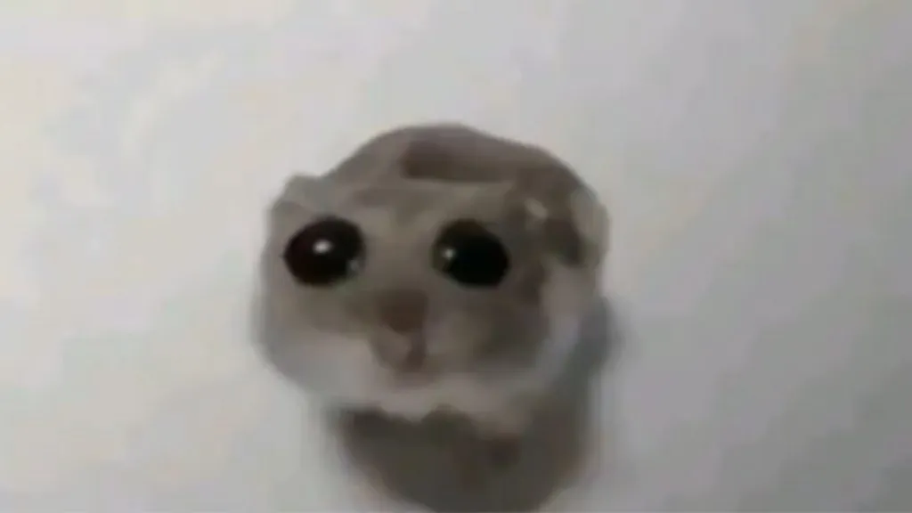 wirusowy-tiktok-mem-hamster