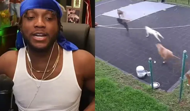 YourRAGE verjagt Eindringling mit Hunden nach Hause, nachdem er einen Basketball spielenden Mann gefunden hat