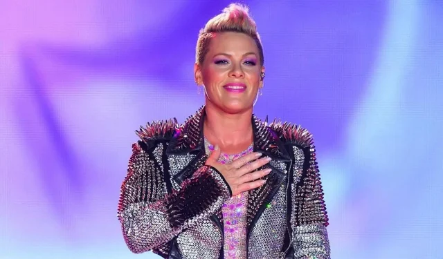 Fanático de Pink indignado por boleto de $120 para concierto de bebé recién nacido