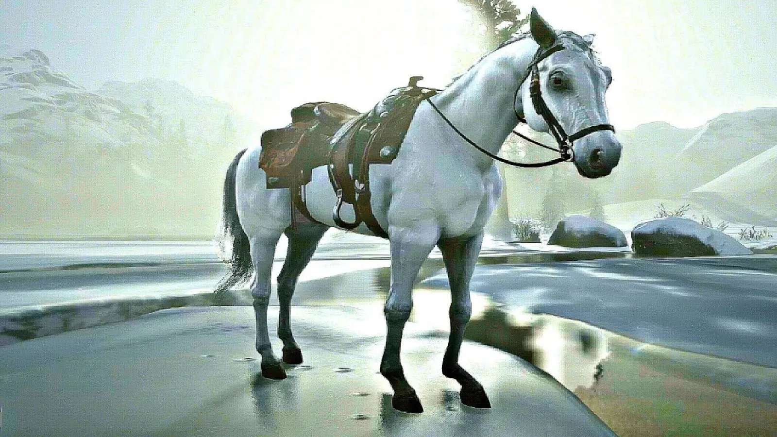 Cheval arabe Red Dead Redemption