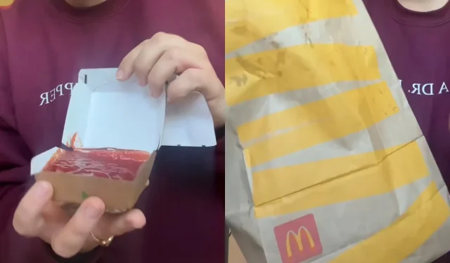 Cliente di DoorDash sconcertato dopo l’esilarante errore di McDonald’s che le ha dato un ordine inaspettato