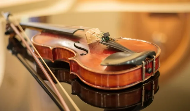 Viral TikTok montre comment sont fabriquées les cordes de violon et les téléspectateurs sont dégoûtés