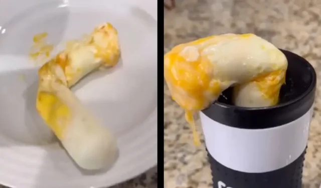 Rollie Eggmaster enoja a Internet com o método bizarro de cozinhar “bosta de ovo”