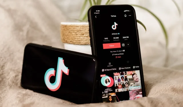 Comment regarder des vidéos TikTok dans un avion