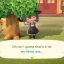 Cómo hacer herramientas irrompibles en Animal Crossing: New Horizons