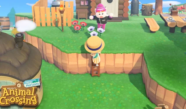 So erhalten Sie eine Leiter in Animal Crossing: New Horizons