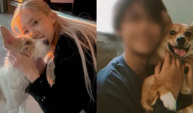 BLACKPINK Rosé-Hund ist urkomisch in „Dating-Gerüchte“ mit dem Haustier DIESES K-Drama-Schauspielers verwickelt