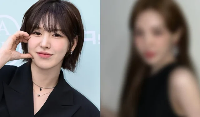 Hat sich das Gesicht von Red Velvet Wendy verändert? K-Netz reagiert auf die neuesten Visuals von Idol