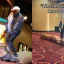 „Dune 2“-Cosplayer reitet viral auf einem Sandwurm im AMC-Kino