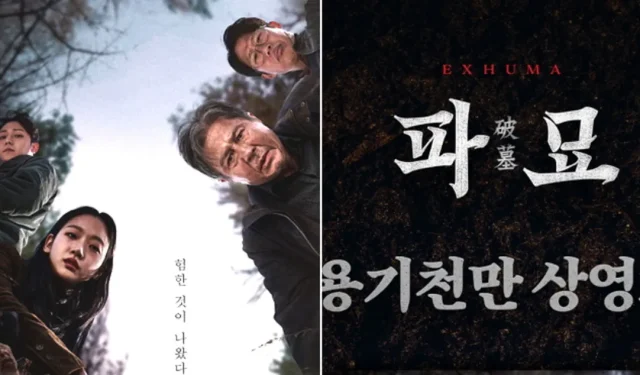 겁이 많아 ‘엑슈마’를 보기 힘든 고양이들을 위한 특별상영