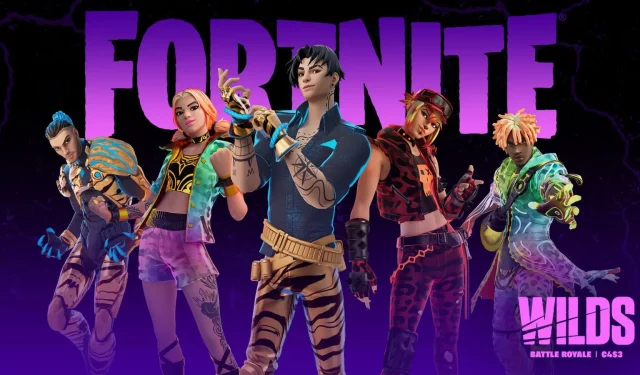 Quelle est la popularité de vos skins Fortnite ? Liste des skins les plus utilisés