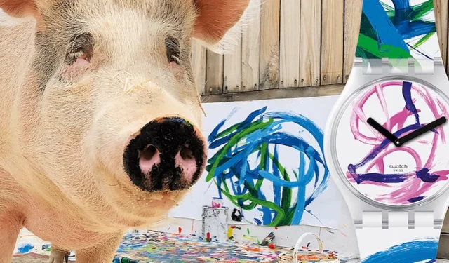 Porco com pintura viral ‘Pigcasso’ morre aos 8 anos