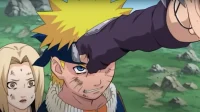 Wie viele Episoden von Naruto gibt es?
