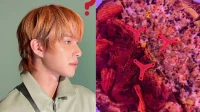 NCT Jungwoos Pizzabelag widert KNetz an – „Was zur Hölle sehe ich mir da an“