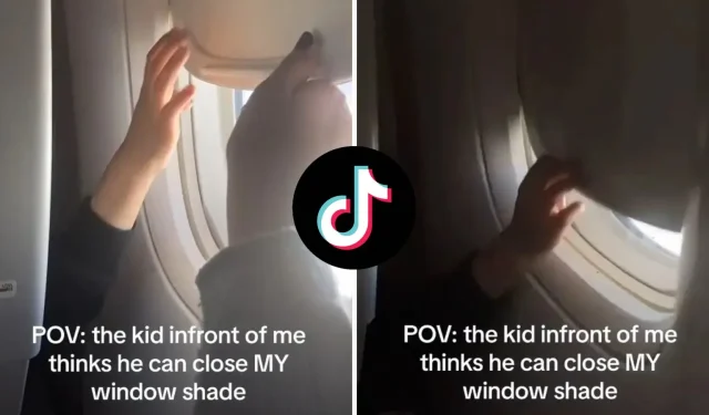 Pasajero de avión genera debate después de pelear con un niño por la persiana de la ventana