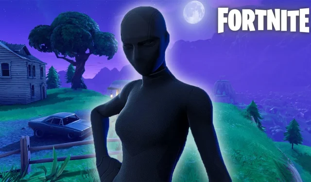 Les joueurs de Fortnite en ont assez de la méta peau « en sueur » à chaque match classé