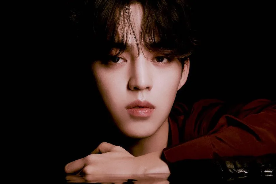 DICIASSETTE S.Coups