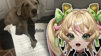 VTuber bittet YouTube um Hilfe, nachdem Hund 100.000 Abonnentenbrief gefressen hat