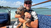 Wer ist Miss Peaches? Dave Portnoys Hund wird nach emotionaler Adoption viral