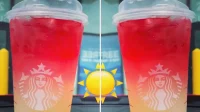 星巴克推出新的辛辣清涼飲料“熱量充足”
