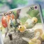 イラストレアカードとは？ポケモンTCG解説