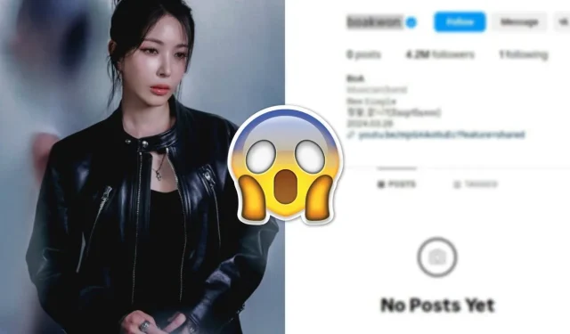 BoA が一夜にして Instagram を消去 — 本当に引退が近づいているのか?