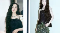 ‘BoA merece melhor’: SM Entertainment enfrenta reação por supostos maus-tratos ao ídolo